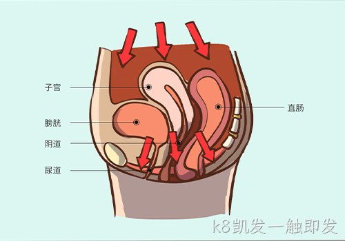 助力女性盆底功能健康发展，k8凯发一触即发推出高频评估电灼仪